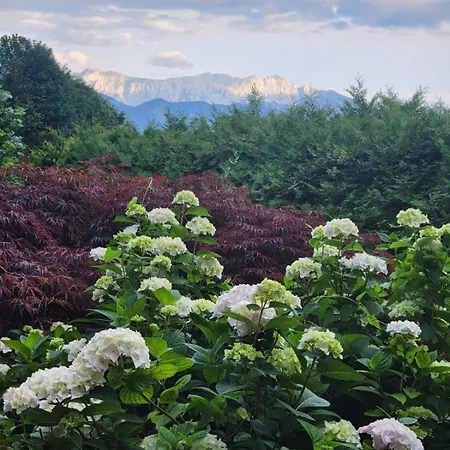 Apartament Beim Silbergersee Oberaudorf